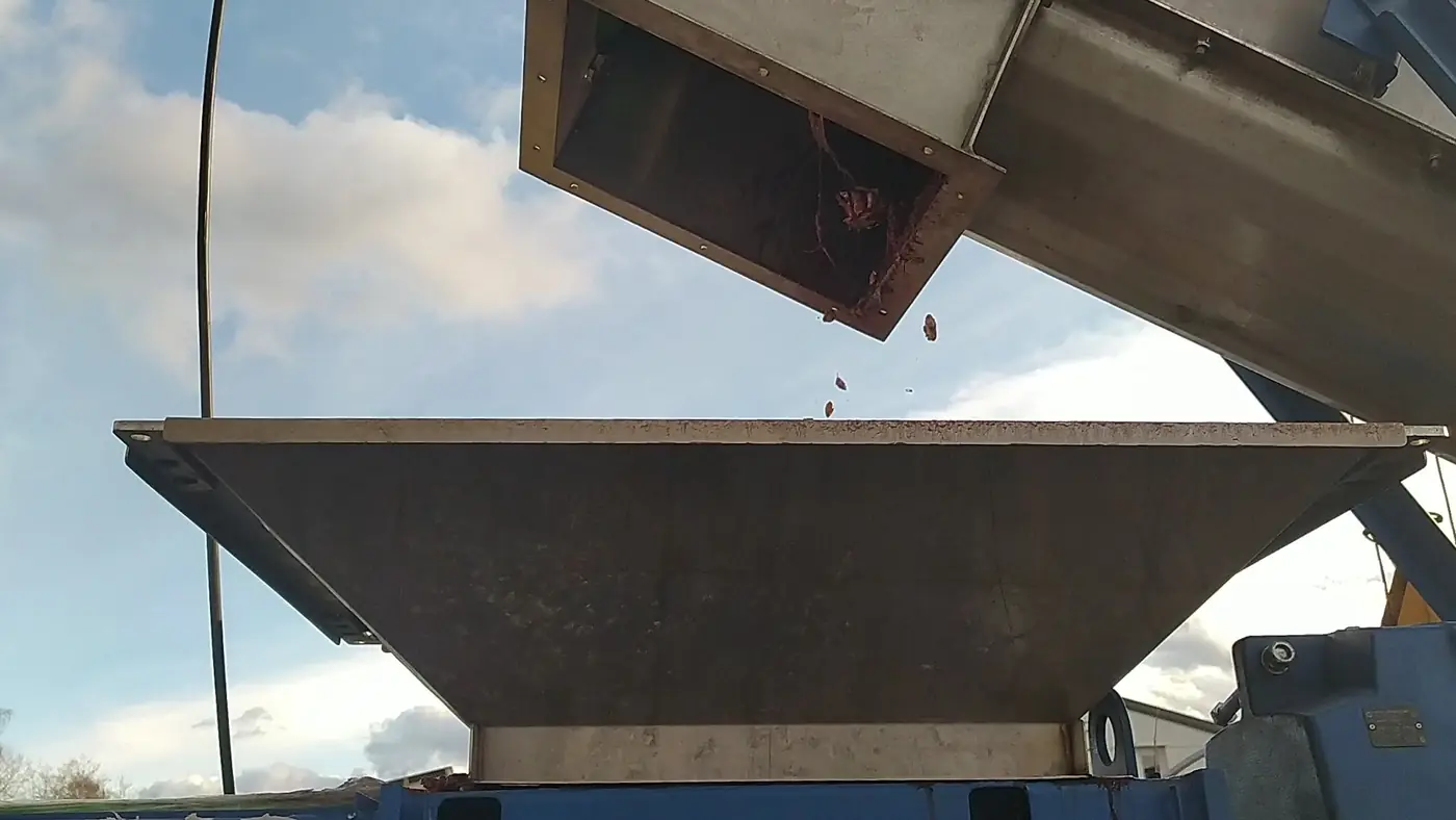 Materiał podawany z bufora do zasypu rozdrabniacza
